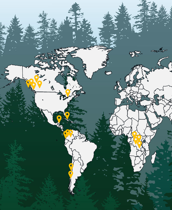 pinmap